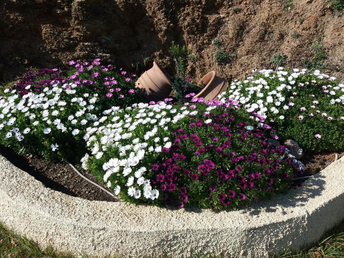Stathi'S House Apartment Megali Ammos  Exterior photo